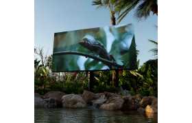 LED pra piscina P3.91 384x192cm - Ideal para Lazer e piscinas